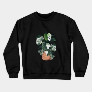 Variegated monstera Crewneck Sweatshirt